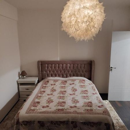 The Unique Apartment Roşu 外观 照片