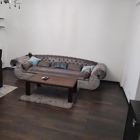 The Unique Apartment Roşu 外观 照片