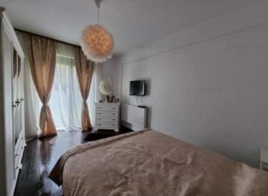 The Unique Apartment Roşu 外观 照片