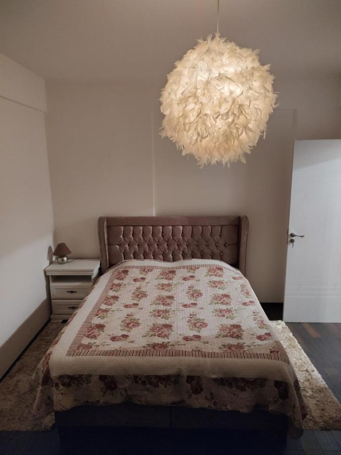 The Unique Apartment Roşu 外观 照片