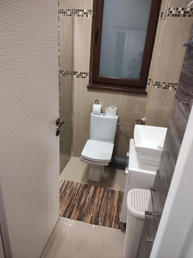 The Unique Apartment Roşu 外观 照片